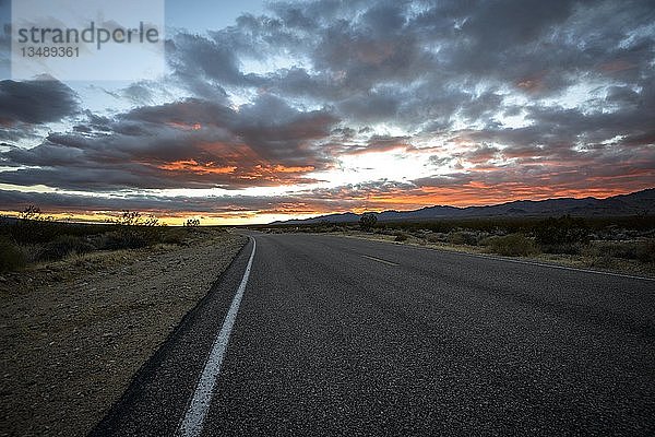 Dramatischer Sonnenuntergang über Wüstenlandschaft  Landstraße  Sonnenuntergang  Mojave-Wüste  Mojave National Preserve  Kalifornien  USA  Nordamerika