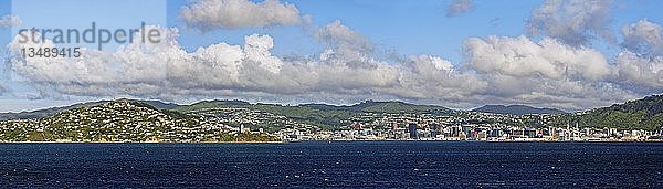 Panoramablick vom Meer aus  Wellington  Nordinsel  Neuseeland  Ozeanien