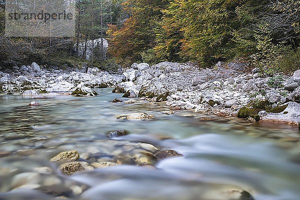 Fluss Koritnica im Herbst  Soca-Tal  Triglav-Nationalpark  Slowenien  Europa
