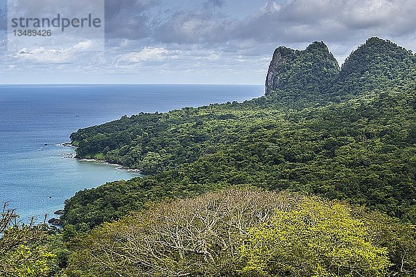 Bewaldete Berglandschaft mit dichter Vegetation an der Küste  Insel Príncipe  São Tomé und Príncipe