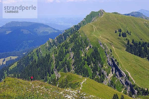 Rindalphorn und Gleichenwanger Kopf  Blick vom Hochgrat  Nagelfluhkette  Allgäuer Alpen  Oberstaufen  Oberallgäu  Allgäu  Schwaben  Bayern  Deutschland  Europa