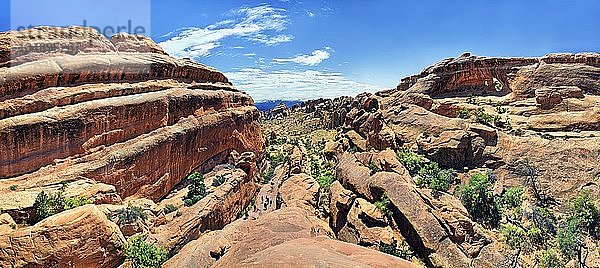 Panorama in Devil's Garden  mit Felsformationen  die durch die Erosion von rotem Navajo-Sandstein entstanden sind  Arches-Nationalpark  bei Moab  Utah  Vereinigte Staaten  Nordamerika