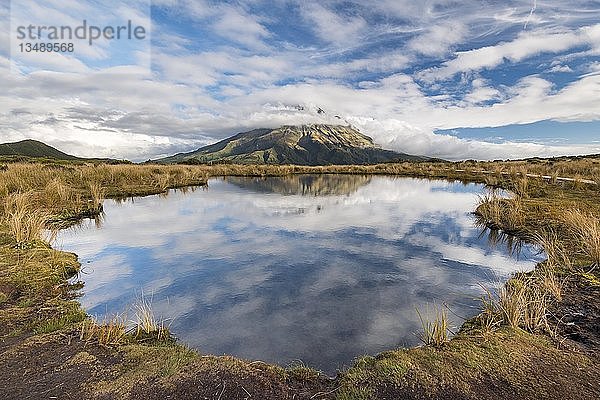 Der wolkenbedeckte Stratovulkan Mount Taranaki oder Mount Egmont spiegelt sich im Pouakai Tarn  Mount Egmont National Park  Taranaki  Nordinsel  Neuseeland  Ozeanien
