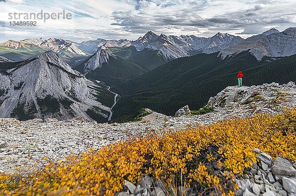 Wanderin auf dem Gipfel des Sulphur Skyline Trail  Blick über Berglandschaft und Flusstal  Panoramablick  Nikassin Range  Jasper National Park  British Columbia  Kanada  Nordamerika