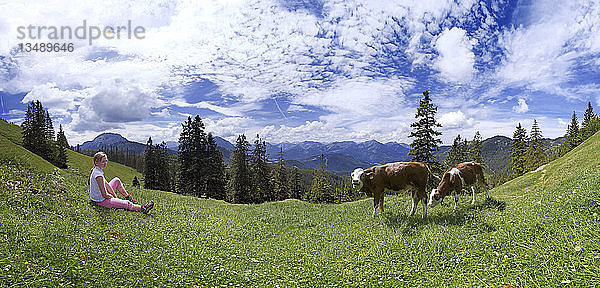 Mädchen und Kühe auf der Blaubergalm  Tirol  Österreich  Europa