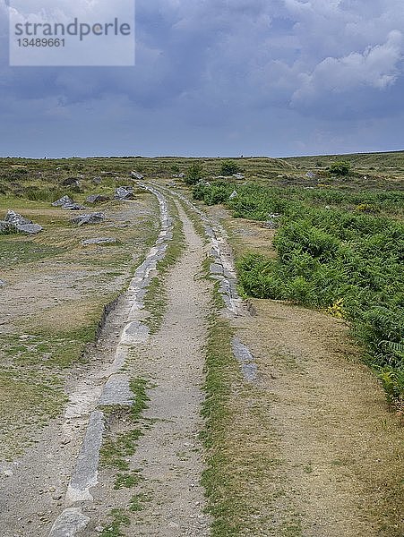 Granitschienen der Pferdeeisenbahn  Dartmoor NP  Haytor  England  Großbritannien