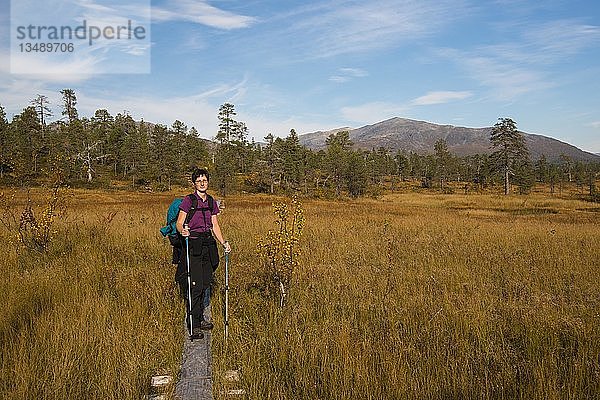 Wanderin auf Holzplanken  Wanderweg  Ånderdalen Nationalpark  Senja  Norwegen  Europa