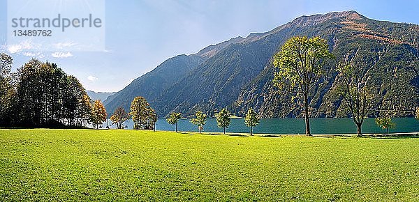 Grüne Wiese mit Achensee und herbstlich gefärbten Laubbäumen  Achenkirch  Rofangebirge  Achensee  Tirol  Österreich  Europa