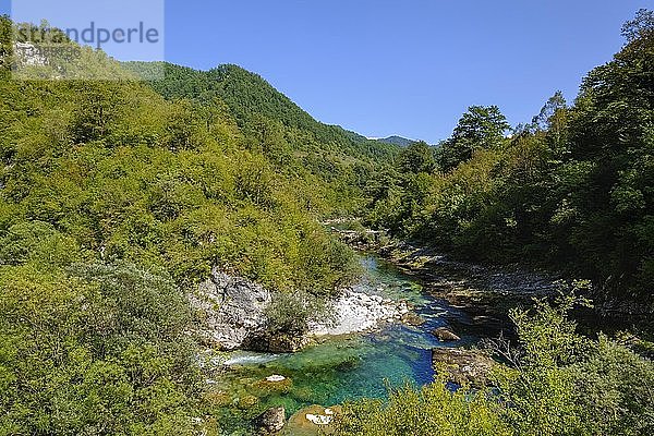 Fluss Mrtvica  Mrtvica-Schlucht  bei Kolasin  Montenegro  Europa