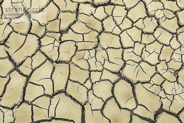Aufgesprungener Lehmboden durch lang anhaltende Trockenheit  Hintergrundbild  Deutschland  Europa