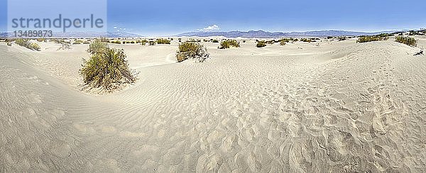 Dünen  Mesquite Sanddünen  Death Valley  Kalifornien  Vereinigte Staaten  Nordamerika