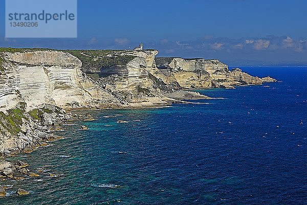 Schroffe Kreidefelsen und türkisblaues Meer  Klippen  Bonifacio  Korsika  Frankreich  Europa