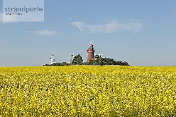 Leuchtturm Buk mit blühendem Rapsfeld  Bastorf  Mecklenburg Vorpommern  Deutschland  Europa