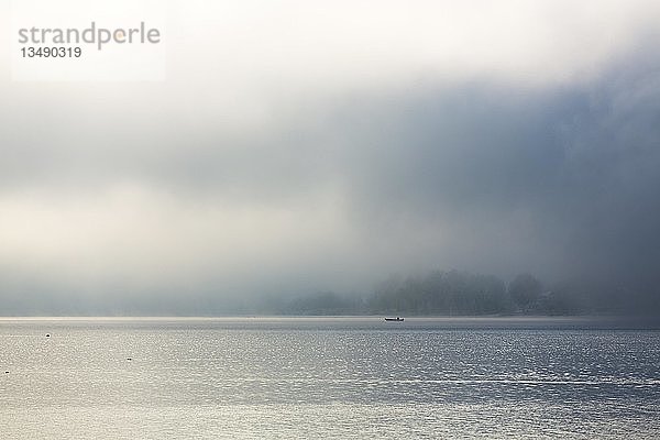 Morgenstimmung mit Nebelfischer und Neuschnee  Seegarten  Allensbach  Baden-WÃ¼rttemberg  Deutschland  Europa
