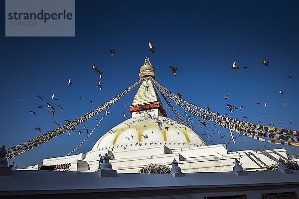 Boudhanath Stupa mit Vögeln  Boudha  Tibetischer Buddhismus  Kathmandu  Nepal  Asien