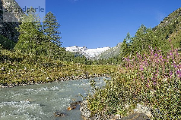 Gschlößbach im Tauerntal  hinter Schwarze Wand  Hoher Zaun und Großvenediger  Venedigergruppe  Nationalpark Hohe Tauern  Osttirol  Österreich  Europa