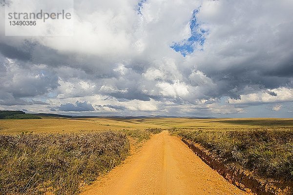 Staubige Straße  die durch den Nyika-Nationalpark führt  Malawi  Afrika