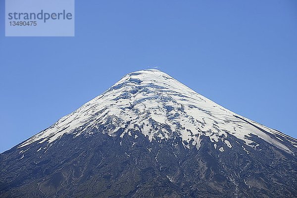 Gipfel  Vulkan Osorno mit Schneekappe  RegiÃ³n de los Lagos  Chile  Südamerika