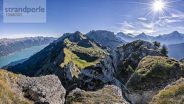Brienzersee  Blick vom Oberberghorn  Schynige Platte  Berner Alpen  Schweiz  Europa