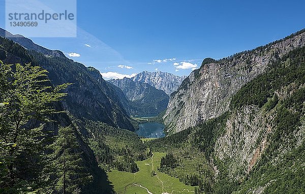 Blick auf den Obersee und den Königssee vom Röthsteig aus  im Hintergrund der Watzmann  Berchtesgaden  Oberbayern  Bayern  Deutschland  Europa