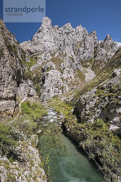 Wanderweg La Ruta del Cares im Nationalpark Picos de Europa  Fluss Rio Cares  Caín de Valdeón  León  Spanien  Europa