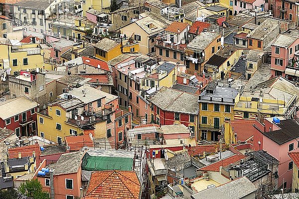 Blick auf die Dächer von Monterosso  Ligurien  Italien  Europa