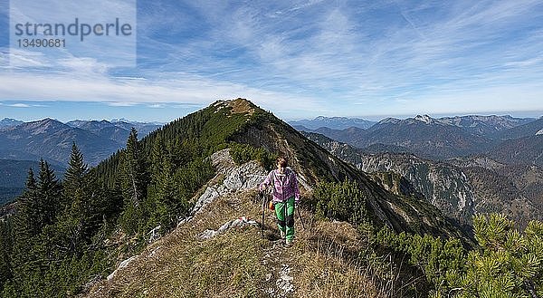 Wanderer beim Überqueren der Blauberge  vom Predigtstuhl über Blaubergschneid  Blaubergkopf und Karschneid zum Halserspitz  Wildbad Kreuth  Oberbayern  Bayern  Deutschland  Europa