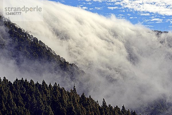 Passatwolken  die über einen Bergkamm hängen  Nationalpark Teide  Teneriffa  Kanarische Inseln  Spanien  Europa