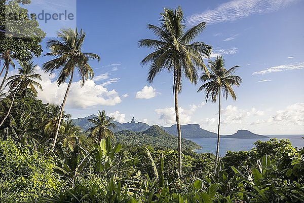 Bewaldete Berglandschaft mit Palmen und Bananenstauden an der Küste  Insel Príncipe  São Tomé und Príncipe
