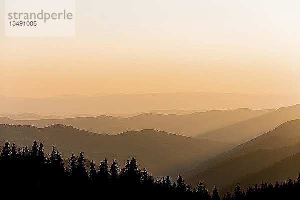 Sonnenaufgang in den Bergen  Silhouette  Karpaten  Zakarpattia Oblast  Ukraine  Europa