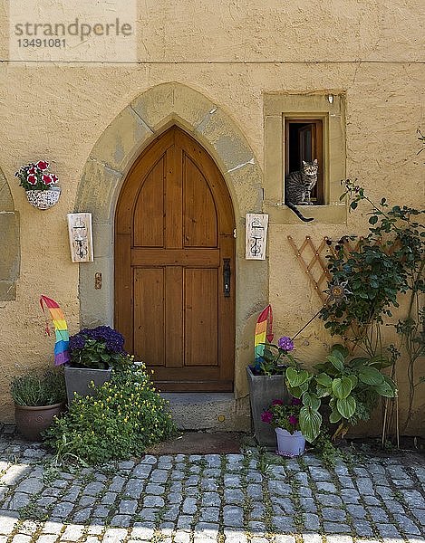 Tür mit Katze im Fenster  Rothenburg ob der Tauber  Deutschland  Europa