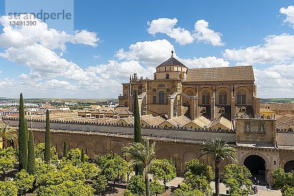 Blick auf die Kathedrale Moschee von Cordoba  Andalusien  Spanien  Europa