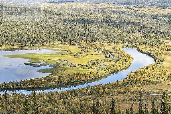 Flusslandschaft im Herbst  Fluss TarraÃ¤tno  Kvikkjokk  Laponia  Norrbotten  Lappland  Schweden  Europa