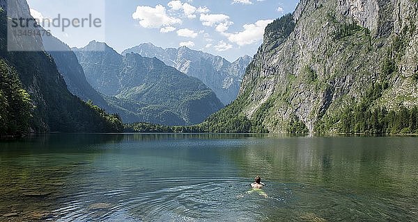 Junger Mann schwimmt im Obersee  hinter Watzmannmassiv  Salet am Königssee  Nationalpark Berchtesgaden  Berchtesgadener Land  Oberbayern  Bayern  Deutschland  Europa