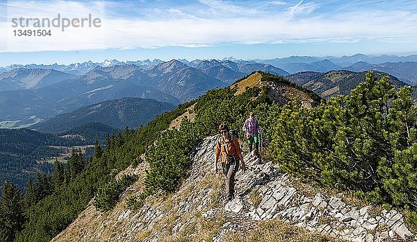 Wanderer bei der Überquerung der Blauberge  vom Predigtstuhl über Blaubergschneid  Blaubergkopf und Karschneid nach Halserspitz  Wildbad Kreuth  Oberbayern  Bayern  Deutschland  Europa