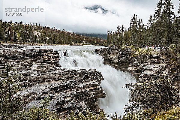 Wasserfall  Athabasca Falls  Athabasca River  Icefields Parkway  Banff National Park  Alberta  Kanada  Nordamerika