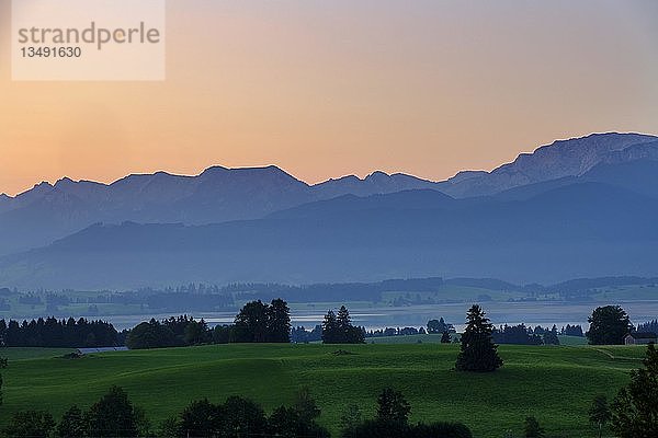 Forggensee mit Ammergauer Alpen und Tannheimer Bergen  Morgenstimmung  OstallgÃ¤u  AllgÃ¤u  Schwaben  Bayern  Deutschland  Europa