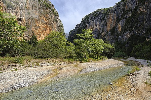 Gjipe-Schlucht  zwischen Dhërmi und Himara  Himarë  Albanische Riviera  Ionisches Meer  Qark Vlorë  Albanien  Europa