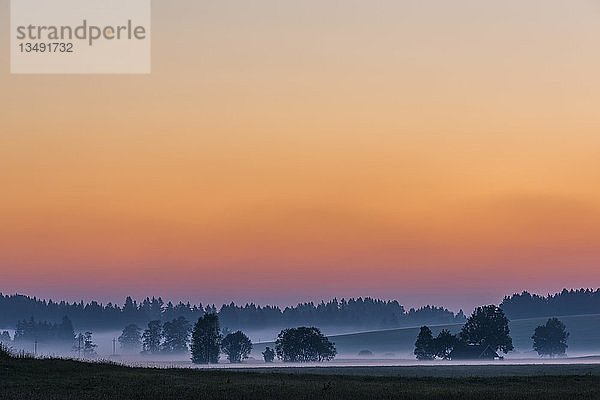 Sonnenaufgang mit Bodennebel Ã¼ber AllgÃ¤u HÃ¼geln  FÃ¼ssen  AllgÃ¤u  Bayern  Deutschland  Europa