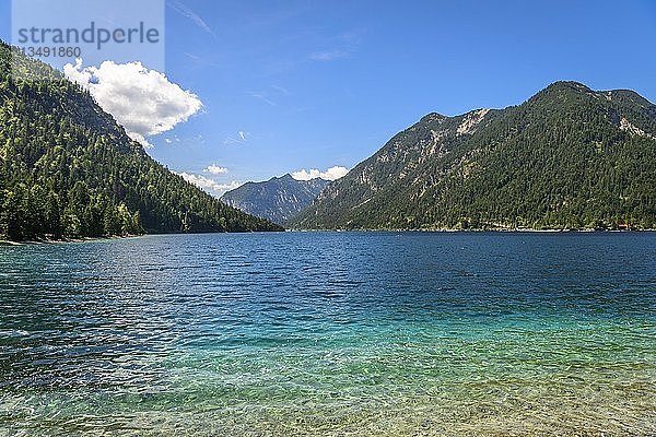 Plansee  Blick vom Ostufer  Ufer  türkisfarbenes Wasser  Bergsee  Berglandschaft  Tiroler Alpen  Reutte  Tirol  Österreich  Europa