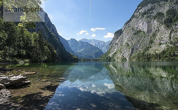 Obersee  Wasserspiegelung  hinter Watzmann-Massiv  Salet am Königssee  Nationalpark Berchtesgaden  Berchtesgadener Land  Oberbayern  Bayern  Deutschland  Europa
