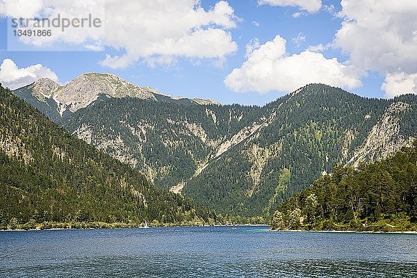 Plansee  Blick vom Ufer  Berglandschaft  Bergsee  Berglandschaft  Tiroler Alpen  Reutte  Tirol  Österreich  Europa