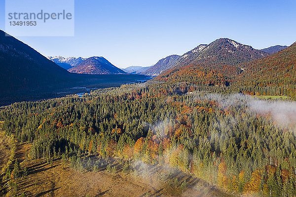 Herbstlicher Mischwald im Isartal  nahe Sylvensteinsee  Drohnenaufnahme  Lenggries  Isarwinkel  Oberbayern  Bayern  Deutschland  Europa