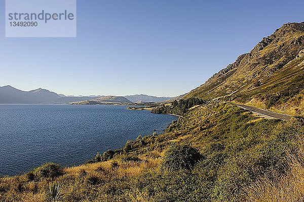 Die Ufer des Wakatipu-Sees  Queenstown  Südinsel  Neuseeland  Ozeanien