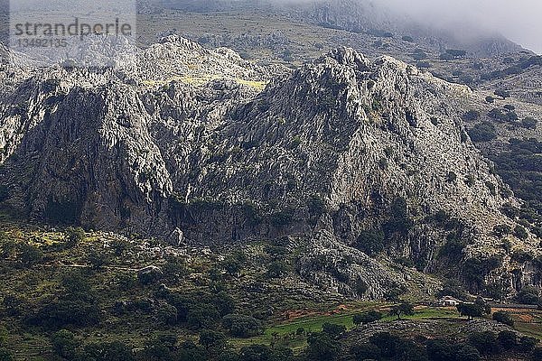 Felsmassiv im Naturpark Sierra de Grazalema Park  Sierra de Pinar  Grazalema  Provinz Cádiz  Andalusien  Spanien  Europa