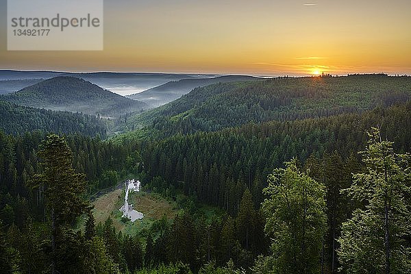 Blick von der Aussichtsplattform Ellbachseeblick  Sonnenaufgang  Nordschwarzwald  Baiersbronn  Baden-WÃ¼rttemberg  Deutschland  Europa