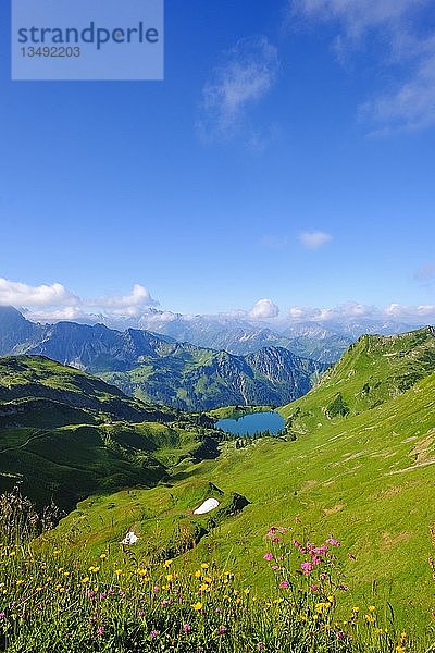 Seealpsee  Blick vom Zeigersattel auf das Nebelhorn  Allgäuer Alpen  Oberstdorf  Oberallgäu  Allgäu  Schwaben  Bayern  Deutschland  Europa