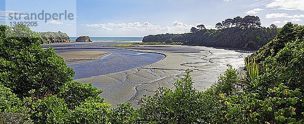 Bucht Three Sisters bei Ebbe  Tongaporutu  Nordinsel  Neuseeland  Ozeanien