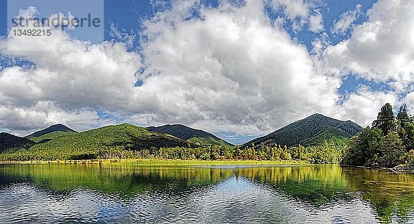 Rotoroa-See mit Spiegelung  subtropische Vegetation  Nelson Lakes National Park  Tasmanische Region  Südland  Neuseeland  Ozeanien