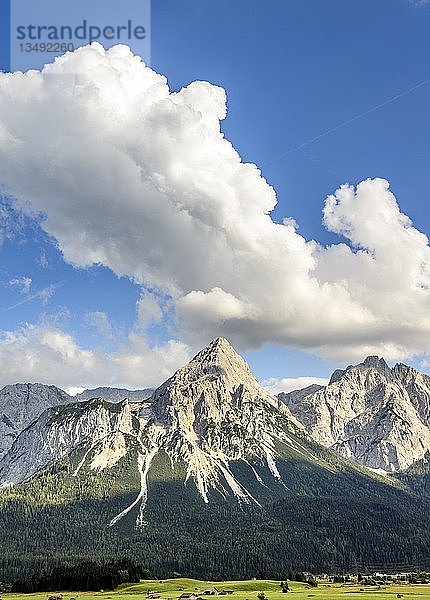 Blick auf die Ehrwalder Sonnenspitze  Berglandschaft  Tiroler Alpen  Ehrwalder Becken  bei Ehrwald  Lermoos  Tirol  Österreich  Europa